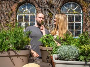 Robuste & winterharte Kräuter: Die besten Sorten für Einsteiger